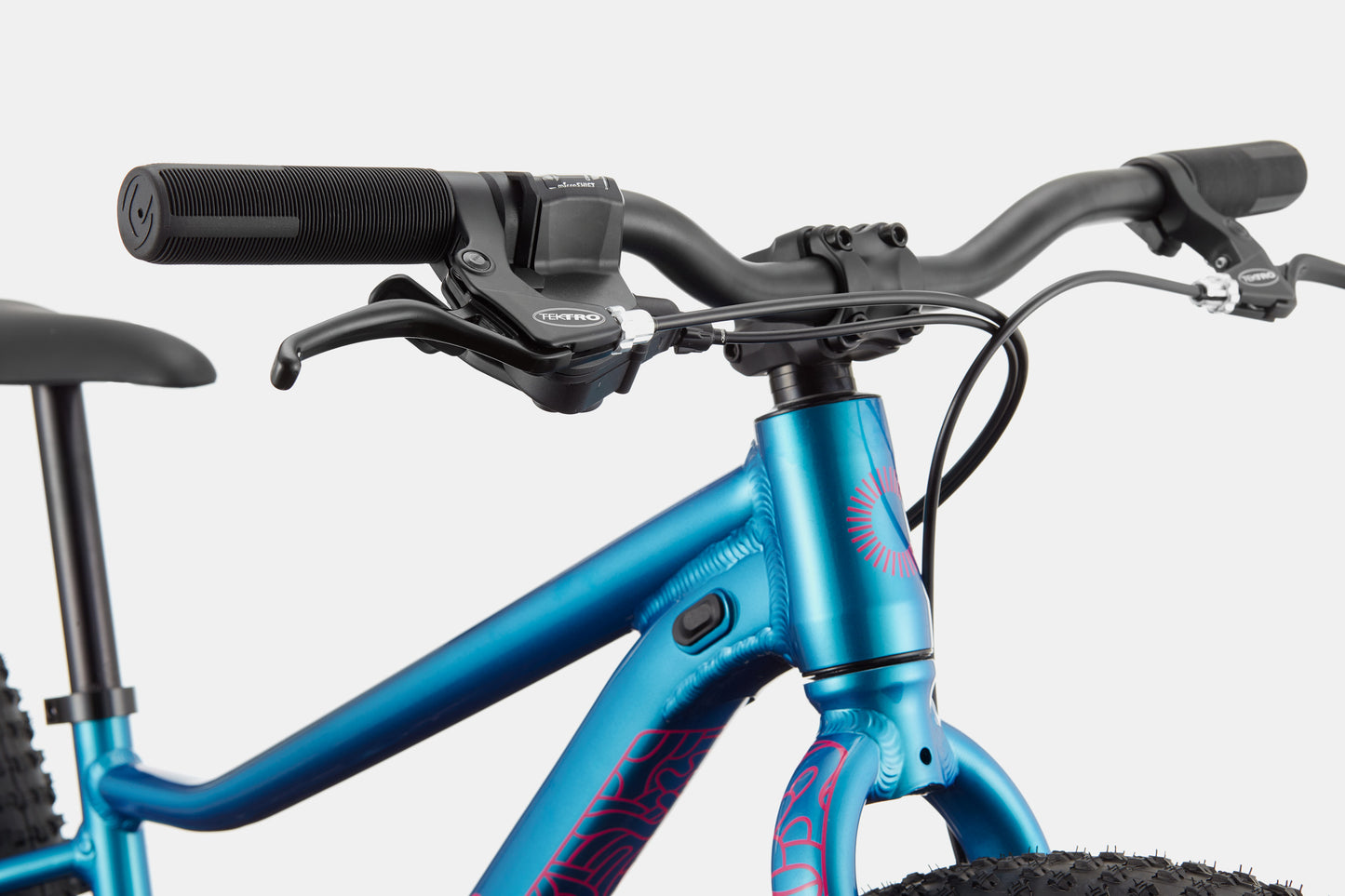 Cannondale Kids Trail Plus - Blue Children's Bike 24"