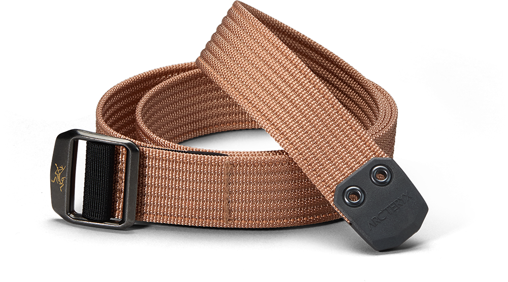 Belt – Conveyor Belt – Hazelnut