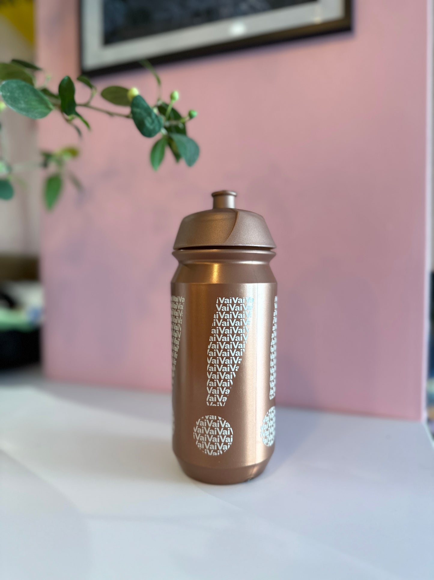 Water Bottle – Vai Vai Vai – Bronze