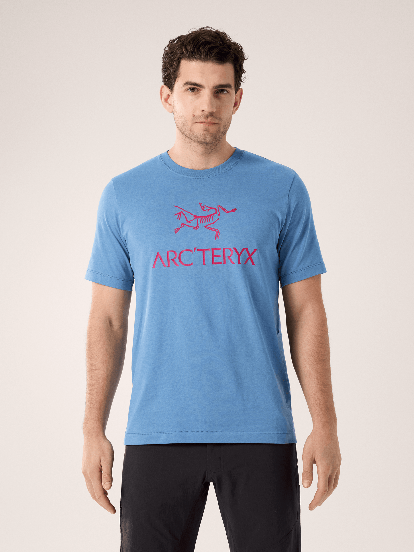 Arc'teryx - Logo - T-shirt - Stonewash