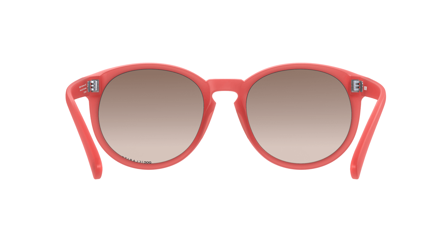 POC Know Coral Sunglasses