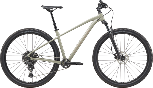 Cannondale Trail SL 1 – Stealth Grey