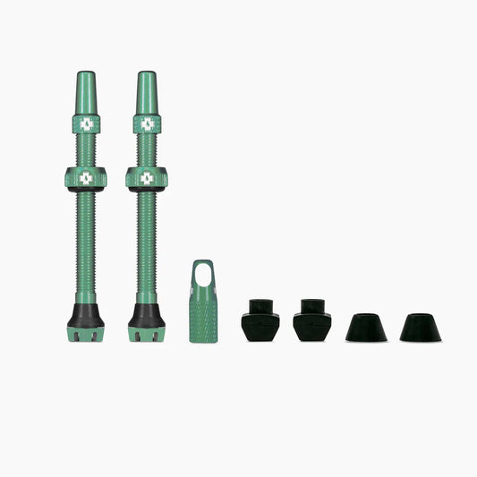 Tubeless tire valve – 60 mm – Turquoise