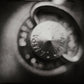 Signed print – Untitled/ Olmo #454
