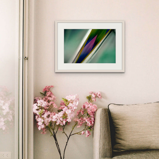 Signerad print – Untitled/ Vicini #658