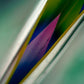 Signed print – Untitled/ Vicini #658