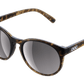 POC Know Tortoise Sunglasses