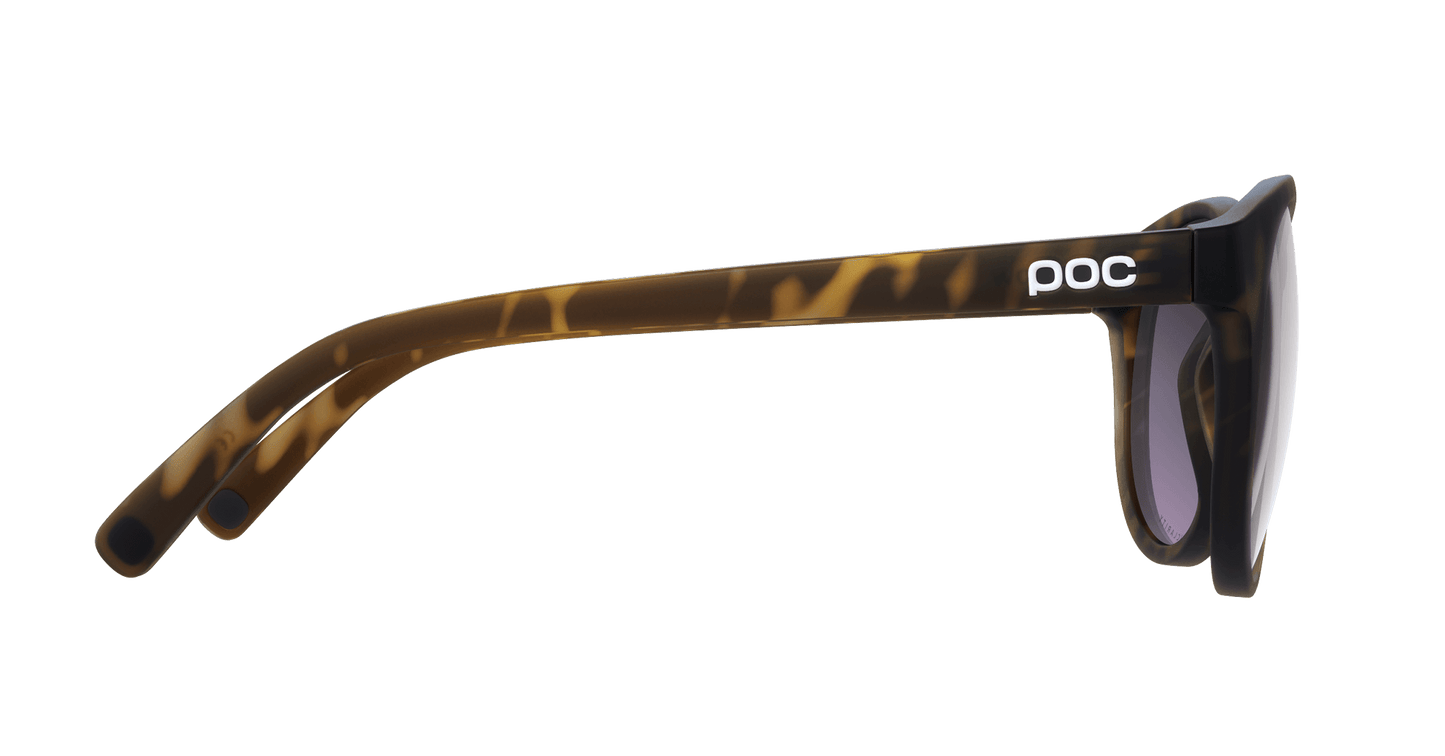 POC Know Tortoise Sunglasses
