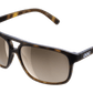 POC - Will - Tortoise - Sunglasses