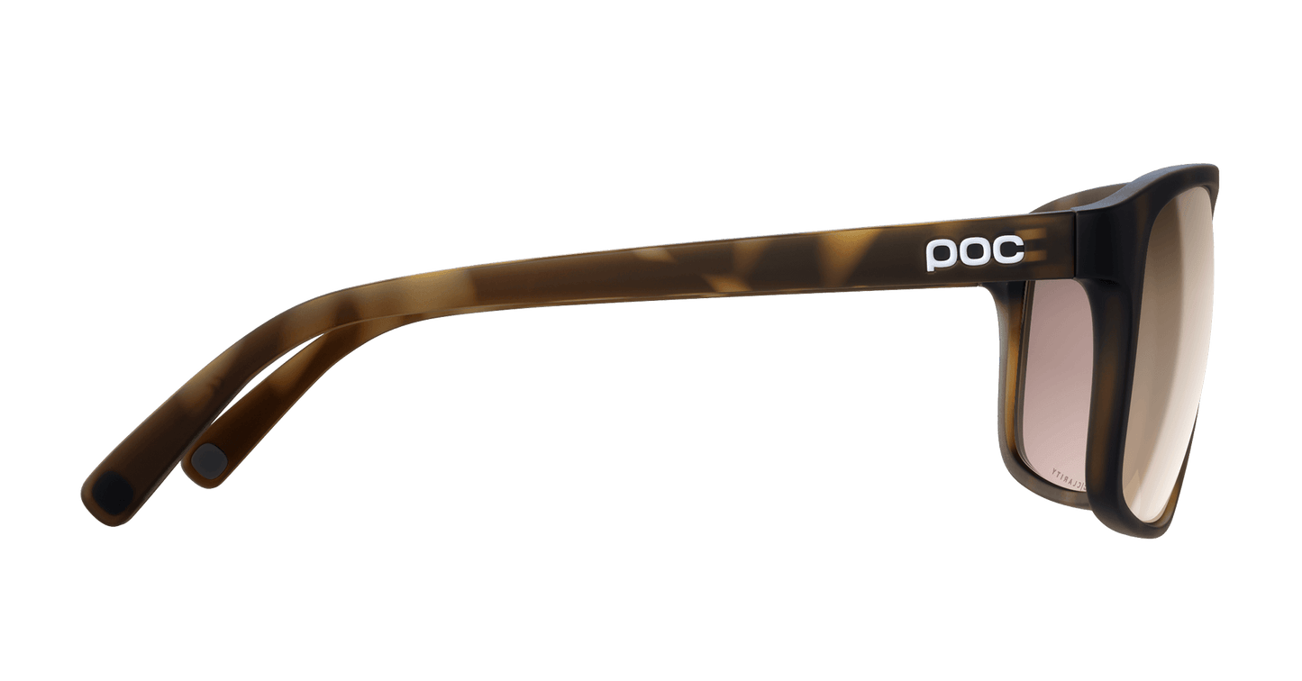 POC - Will - Tortoise - Sunglasses